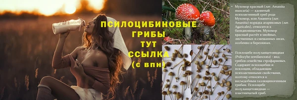 дурь Алзамай