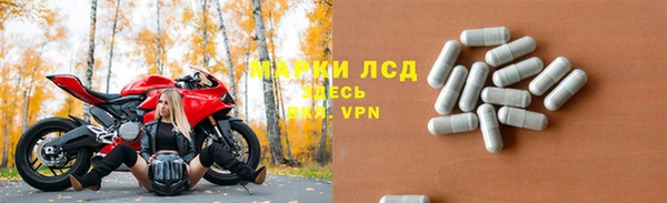 прущие грибы Алексеевка