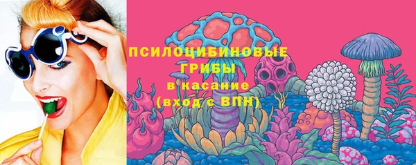 прущие грибы Алексеевка