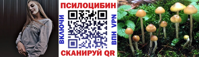 гидра зеркало  хочу наркоту  Тосно  Псилоцибиновые грибы мицелий 