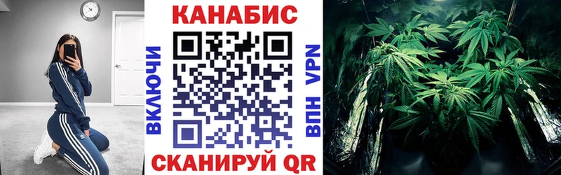 Бошки Шишки семена  Тосно 